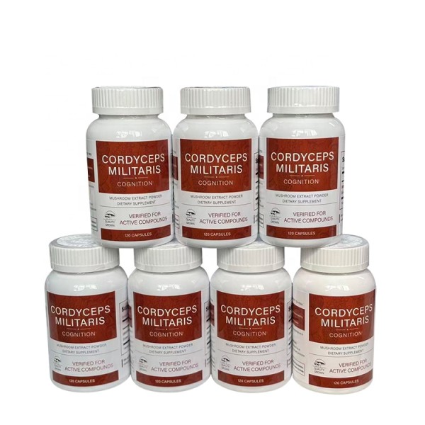 Cordyceps Capsules Factory - Vegan Mushroom 120 Counts