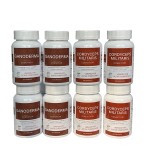 Mushroom Capsules Manufacturer - Organic Cordyceps Reishi Vegan