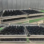 Shilajit Resin Factory - Gold Grade Original Himalayan