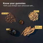 Shilajit Gummy Factory - Pure Himalayan Gold Gummies