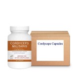 Cordyceps Capsules Factory - Vegan Mushroom 120 Counts