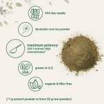 Dandelion Root Powder Manufacturer - OEM Taraxasterol Traditional Herbal