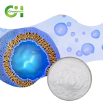 NMN Powder Manufacturer - OEM 98% Pure Cosmetic Grade Drum