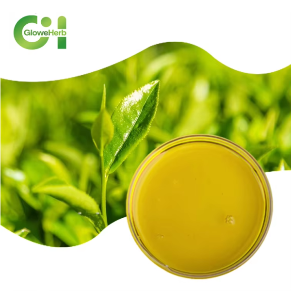 Tea Tree Oil Manufacturer - OEM Pure Bulk Essential Oil