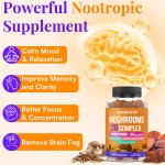 Nootropics Gummy Factory - OEM Brain Boost Lion's Mane Mushroom