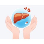 Liver Protection Capsules Supplier - OEM Detox Cleanse Tablets