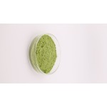 Spinach Powder Factory - OEM Food Grade Dried Green Vegetable Extract