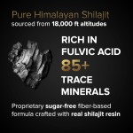 Shilajit Gummies Manufacturer - OEM Himalayan Organic Fudge Supplement