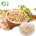 Soy Isoflavone Powder Manufacturer - OEM 40% Soybean Extract Bulk