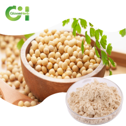 Soy Isoflavone Powder Manufacturer - OEM 40% Soybean Extract Bulk