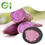 Purple Sweet Potato Powder Manufacturer - OEM Natural Colorant Food Grade