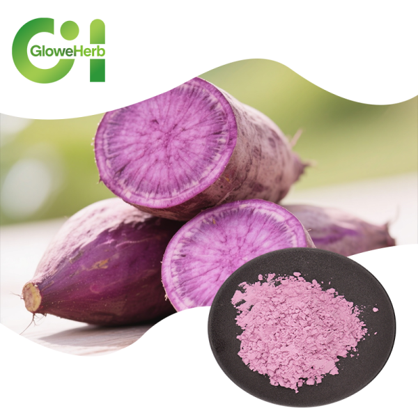 Purple Sweet Potato Powder Manufacturer - OEM Natural Colorant Food Grade