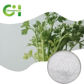 Chamomile Extract Powder Manufacturer - OEM 98% Apigenin Food Grade