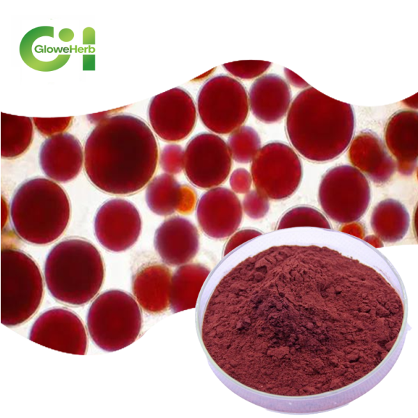 Astaxanthin Powder Manufacturer - OEM 4% Algae Extract Water Droplet