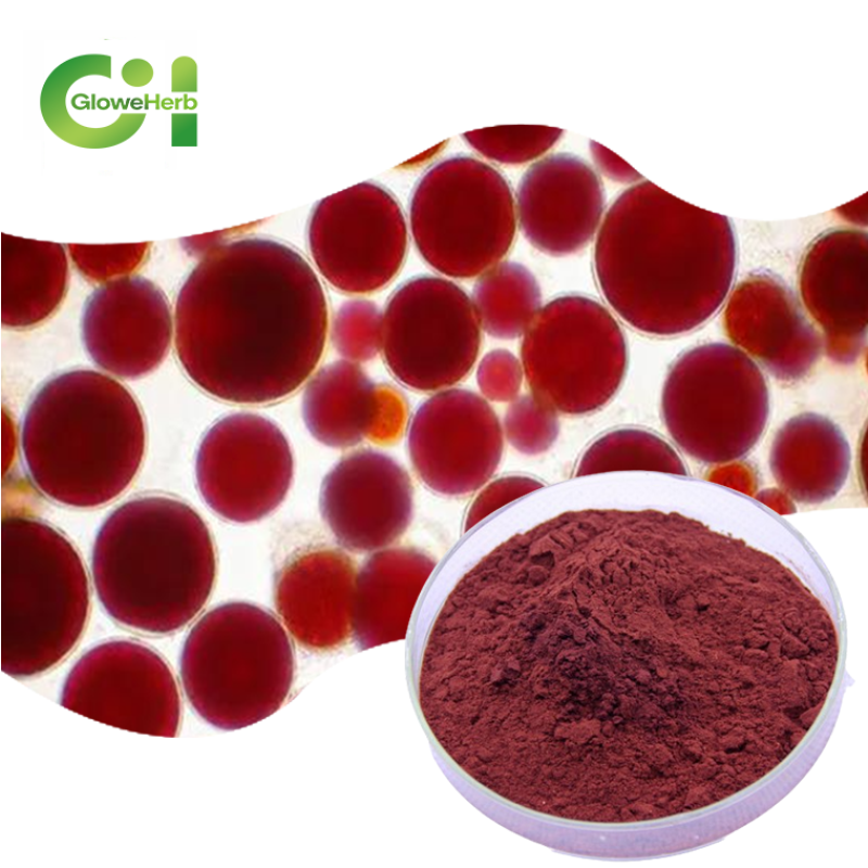Astaxanthin Powder Manufacturer - OEM 4% Algae Extract Water Droplet