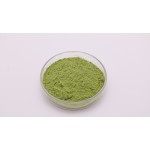 Spinach Powder Factory - OEM Food Grade Dried Green Vegetable Extract