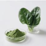 Spinach Powder Factory - OEM Food Grade Dried Green Vegetable Extract