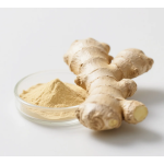 Ginger Extract Powder Supplier - OEM Water Soluble Gingerol 1% 10%
