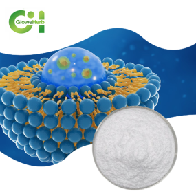 Liposomal Iron Powder Factory - OEM 8% Nutritional Supplement Adult