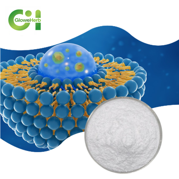 Liposomal Iron Powder Factory - OEM 8% Nutritional Supplement Adult