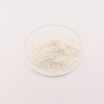 Phloretin Powder Manufacturer - OEM 98% Apple Peel Skin Extract