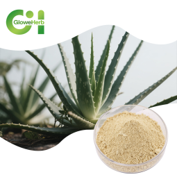 Aloe Extract Powder Factory - OEM Aloin Aloe Vera Plant Extract