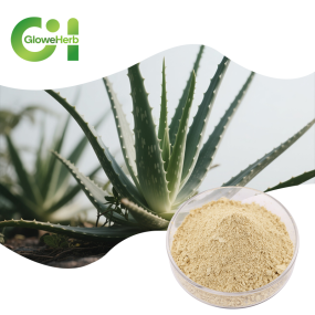 Aloe Extract Powder Factory - OEM Aloin Aloe Vera Plant Extract