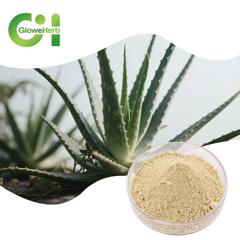 Aloe Extract Powder Factory - OEM Aloin Aloe Vera Plant Extract