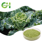 Kale Powder Supplier - OEM 100% Green Vegetable Additive Drum