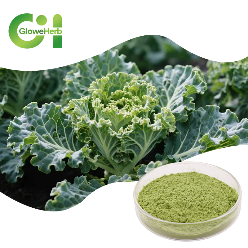 Kale Powder Supplier - OEM 100% Green Vegetable Additive Drum