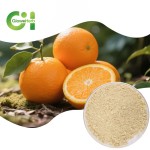 Diosmin Hesperidin Powder Supplier - OEM 90% 95% 98% Citrus Extract