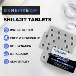 Shilajit Tablets Manufacturer - OEM Himalayan Vegan Halal Fulvic Acid