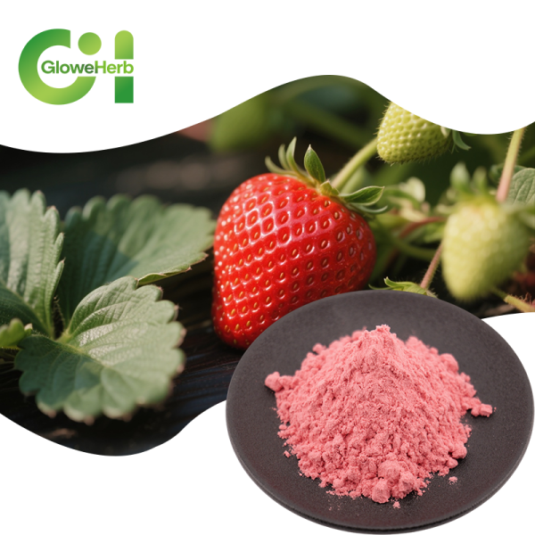 Strawberry Juice Powder Factory - OEM Natural Concentrate Freeze Dried