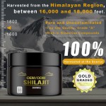 Shilajit Supplement Supplier - OEM 60 Count All-in-One Synergy Blend