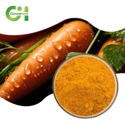 Carotene Powder Supplier - OEM 1% Edible Pigment Carotene Extract