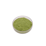 Green Tea Powder Supplier - OEM Dehydrated Pure Organic Economical