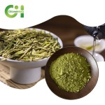 Green Tea Powder Supplier - OEM Dehydrated Pure Organic Economical