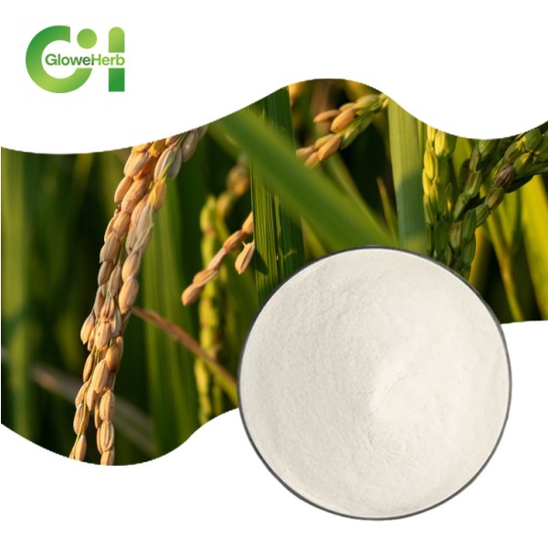 Rice Bran Powder Factory - OEM Oryzanol 98% Extract Supplement
