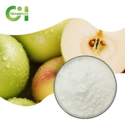 Apple Juice Powder Supplier - OEM Natural Bulk Fruit Flavor Extract