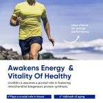 Urolithin A Capsules Factory - OEM 2000mg Cellular Blend Private Label