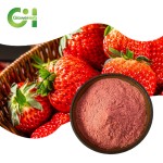 Strawberry Powder Factory - OEM 100% Organic Freeze Dried Extract