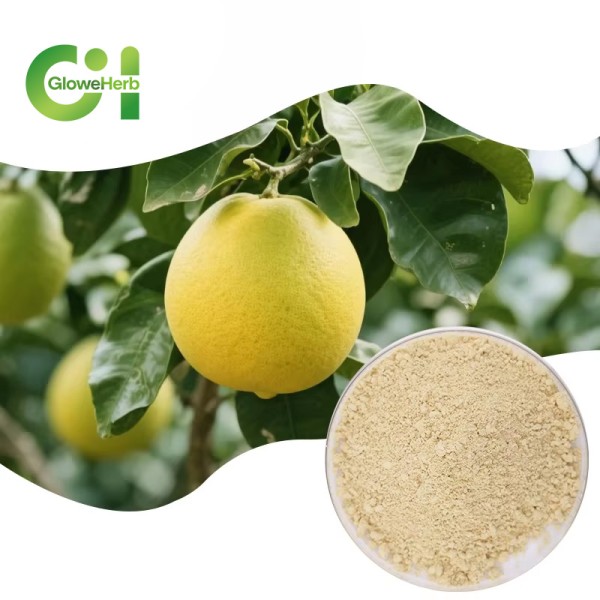 Naringin Powder Manufacturer - OEM Dihydrochalcone Drum Packaging