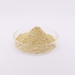 Naringin Powder Manufacturer - OEM Dihydrochalcone Drum Packaging