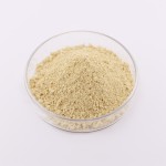 Ginger Extract Powder Supplier - OEM Water Soluble Gingerol 1% 10%