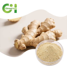 Ginger Extract Powder Supplier - OEM Water Soluble Gingerol 1% 10%