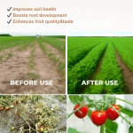 Soil Conditioner Manufacturer - Granular Humic Yellowing