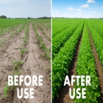 Rooting Liquid Factory - Humic Acid NPK Transplant