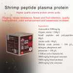 Water-Soluble Fertilizer Supplier - Flower Growth Fruit Set