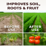 Water-Soluble Fertilizer Supplier - Flower Growth Fruit Set