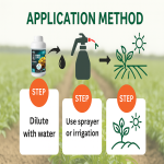 Rooting Agent Factory - Wood Acid Stress Resistance